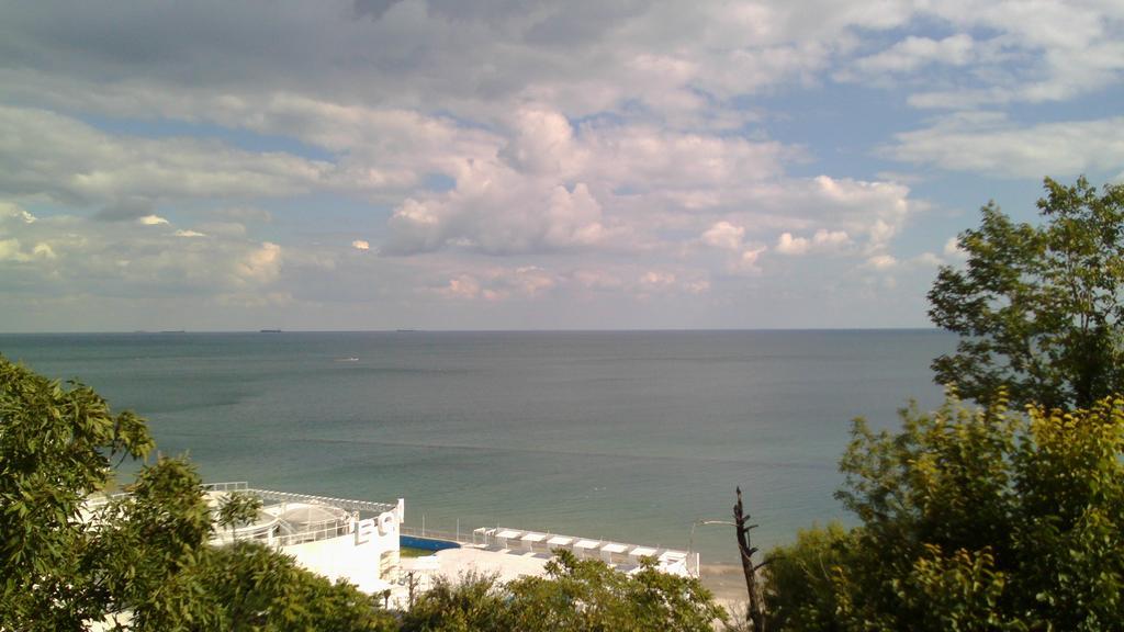 Dolphin Apartment Οδησσός Εξωτερικό φωτογραφία