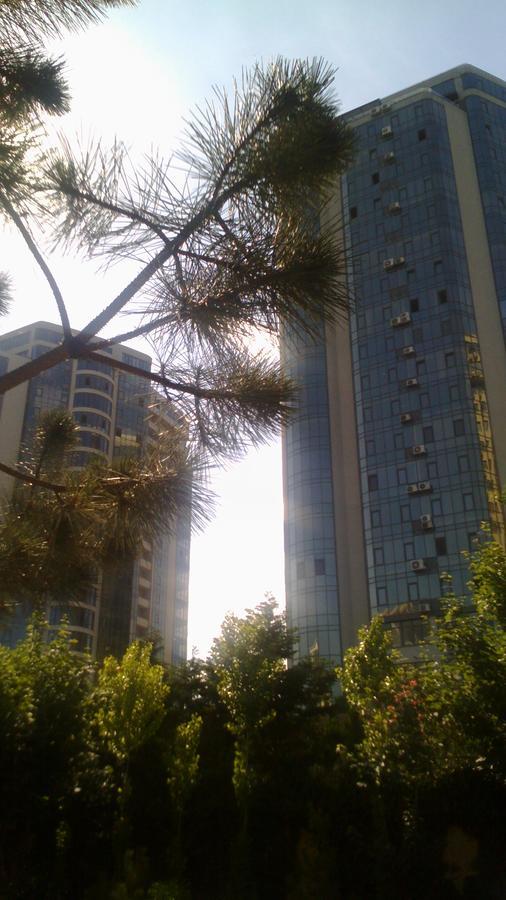 Dolphin Apartment Οδησσός Εξωτερικό φωτογραφία